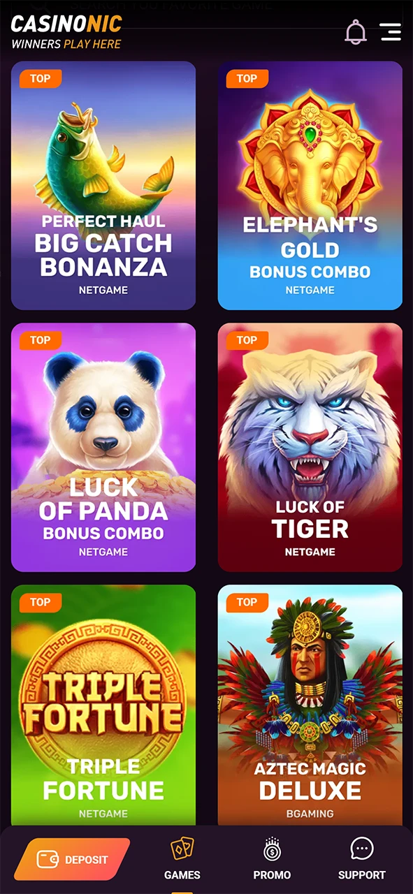 Review the game rules to learn how to play at Casinonic.